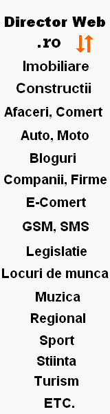 Director Web